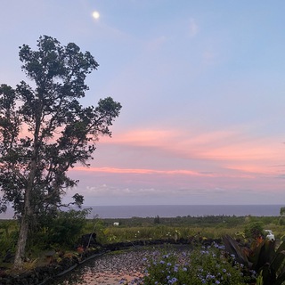 Telegram profile photo for Sundari Gardens Ohana