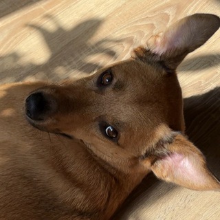 Telegram profile photo for Кенни, где мои трусики?