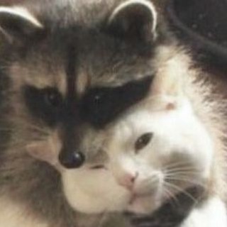 Telegram profile photo for сага кат¡