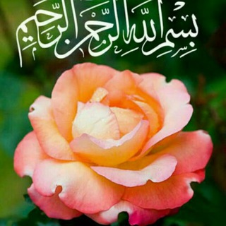 Telegram profile photo for آرشیو کامل دین و زندگی کشوری