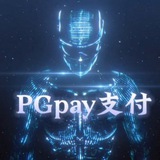 Telegram profile photo for PGpay-支付