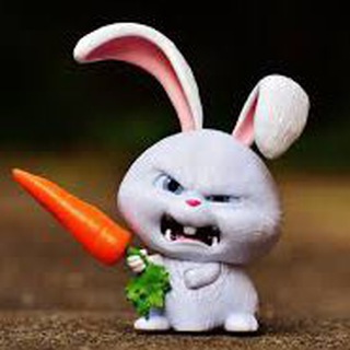 Telegram profile photo for Gánh hát dở ẹc của thỏ🐰