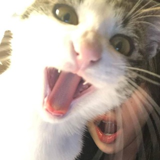 Telegram profile photo for меховая фабрика.mp4
