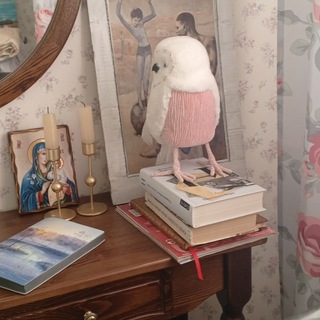 Telegram profile photo for Внеклассные чтения🦉