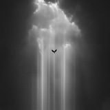 Telegram profile photo for شعر،صور،رمزيات،غاني،شعر،رمزيات،قتباسات،غاني،صور،بنات،شباب،كروبات،تعارف،حكم،مقولات،ستوريات،غاني،حزينه،متحركات،متحركه،صوره