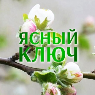 Telegram profile photo for «Ясный ключ» | Короча