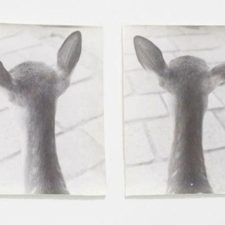 Telegram profile photo for big deal gallery's