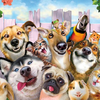 Telegram group profile photo for Питомцы на Муравской