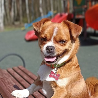 Telegram profile photo for ФУНТИК и его друзья