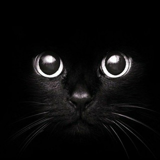 Telegram profile photo for Pattern matching