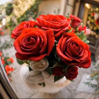 Telegram profile photo for QADRDONLARGA DIL IZHORLARI