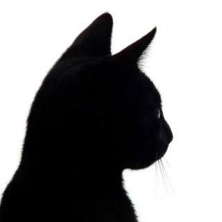 Telegram profile photo for patyűsha