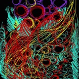 Telegram profile photo for 🔊 @IntuitiveSchool • Congruent Self Schooling • Radio Pública Intuitiva • RPI •••