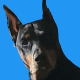 Telegram profile photo for MEGA $☩₲=︻╦̵̵͇ ╤═════ι▬▬-ι▬▬ 𝕾𝖓𝖎𝖕𝖊𝖗- Calls