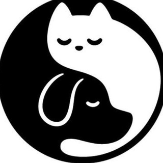 Telegram profile photo for ДоброЛап | Животные Щёлково 🐥🐕🐈
