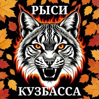 Telegram profile photo for Фан-клуб ХК КУЗБАСС🏆