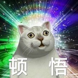 Telegram profile photo for 有用的知识增加了