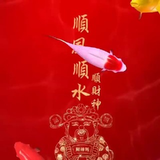 Telegram group profile photo for 天雄星林冲电子交流群