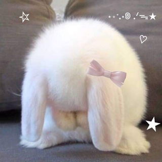 Telegram profile photo for 𝑙𝑖𝑜𝑟𝑎 ꨲ