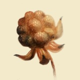 Telegram profile photo for Теплая школа рисования "Морошкина" 🤎