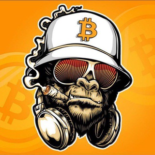 Telegram profile photo for Mr. Ape Calls