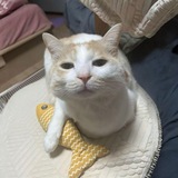 Telegram profile photo for °|• دوپامین °|•