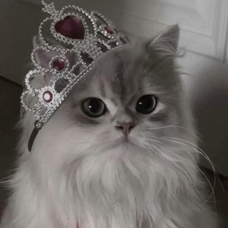 Telegram group profile photo for чатик💗