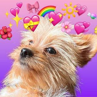 Telegram profile photo for juju