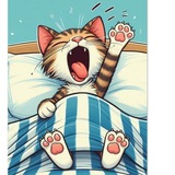 Telegram profile photo for π± Gatos π±