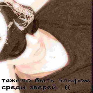 Telegram profile photo for europestepan