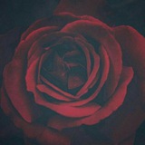 Telegram profile photo for ❤️❤️اشرف مخلوقات💪⚡️☄💥