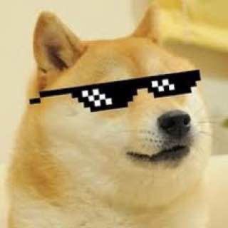 Telegram profile photo for $OGDOGE (PORTAL)