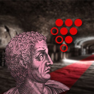Telegram profile photo for Истина InWine | В Вине
