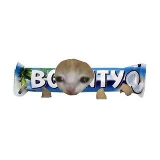 Telegram profile photo for 𝐁𝐎𝐔𝐍𝐓𝐘