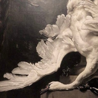 Telegram profile photo for Arboretum-Swans & Historical Chronicles: MythSworn.