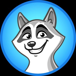 Telegram group profile photo for RACCOON on TON | CHAT 👁️🗨️