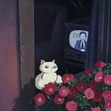 Telegram profile photo for مَقاریچ