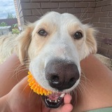 Telegram profile photo for Канал не рабочий