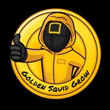 Telegram profile photo for Golden Squid Grow