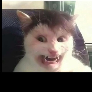 Telegram profile photo for AI_Jokes