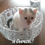 Telegram profile photo for 𝑦𝑜𝑢𝑟 𝑝𝑖𝑥𝑦 𝑗𝑜𝑦