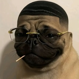 Telegram profile photo for ыы жопа пися какак