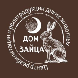 Telegram profile photo for Дом Зайца