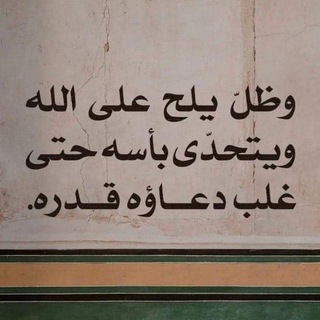 Telegram profile photo for بودكسات ، قرأن كريم ، ادعيه دينيه🤍.