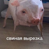Telegram profile photo for бай Марина
