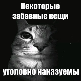 Telegram profile photo for переходник WAARGEELOOS
