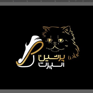 Telegram profile photo for Persian sport shoes
