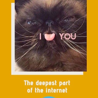Telegram profile photo for The Deepest Part Of Telegram