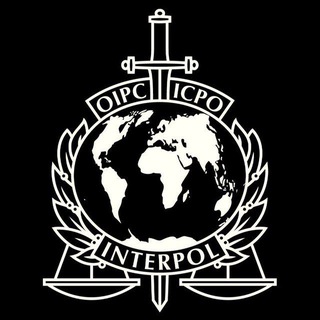 Telegram profile photo for ПЕРЕХОДНИК Interpol