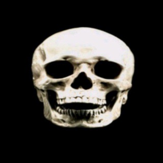 Telegram profile photo for Актуальная бетка от Лайдекса